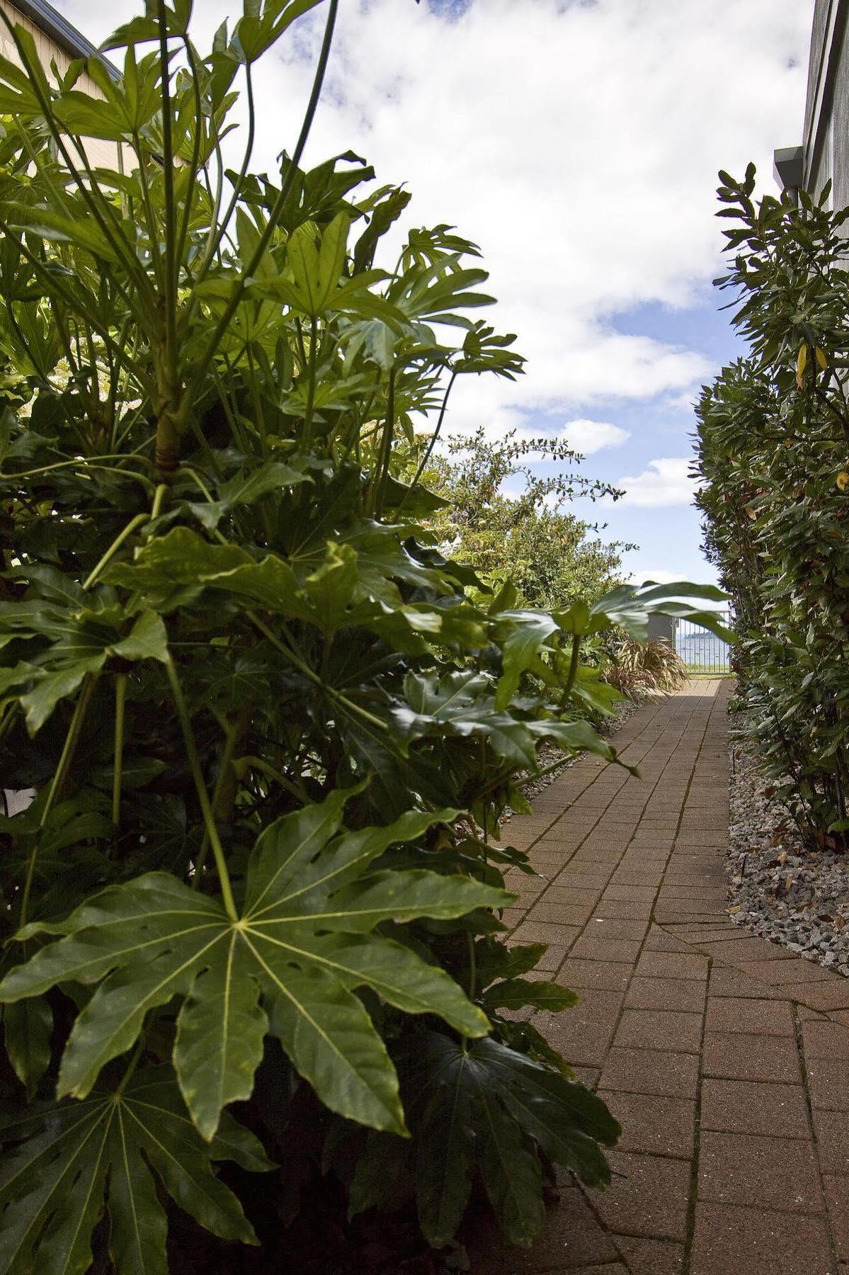 Clearwater Motor Lodge Taupo Bagian luar foto